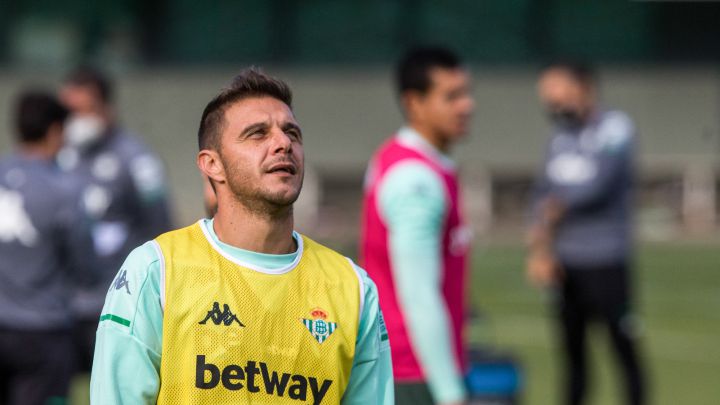 El Betis y el Elche vuelven a enfrentarse este domingo en el Benito Villamarín con Joaquín Sánchez y Nino, testigo del debut del portuense en Heliópolis.