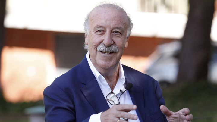 Del Bosque: "Hay que tener esperanza con el futuro de la Selección"