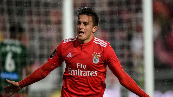El argentino Franco Cervi celebra un gol con el Benfica en un partido contra el Marítimo.