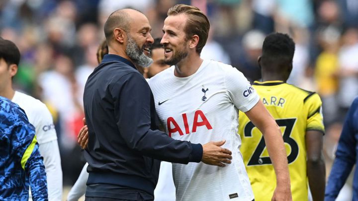 El Tottenham se declara en "proceso de reconstrucción"