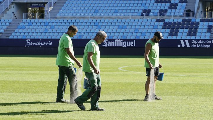 La Rosaleda se prepara para el invierno
