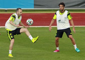 Cesc: