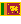 Thilini Jayasinghe