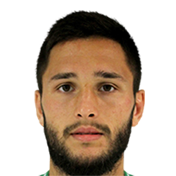 Photo of Florin Andone
