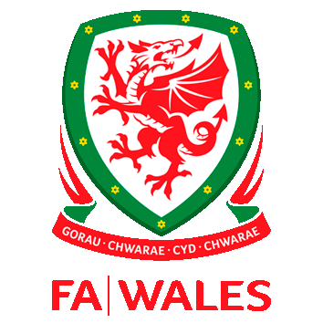 Selección de fútbol de gales