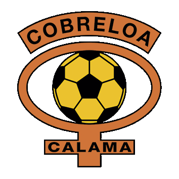 Cobreloa coat of arms / flag