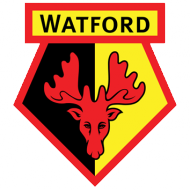 Escudo/Bandera Watford