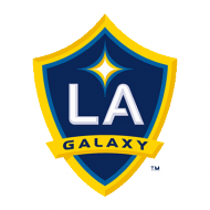 Escudo/Bandera Los Angeles Galaxy