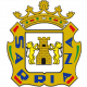 Escudo/Bandera Sarriana