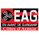 Escudo/Bandera Guingamp