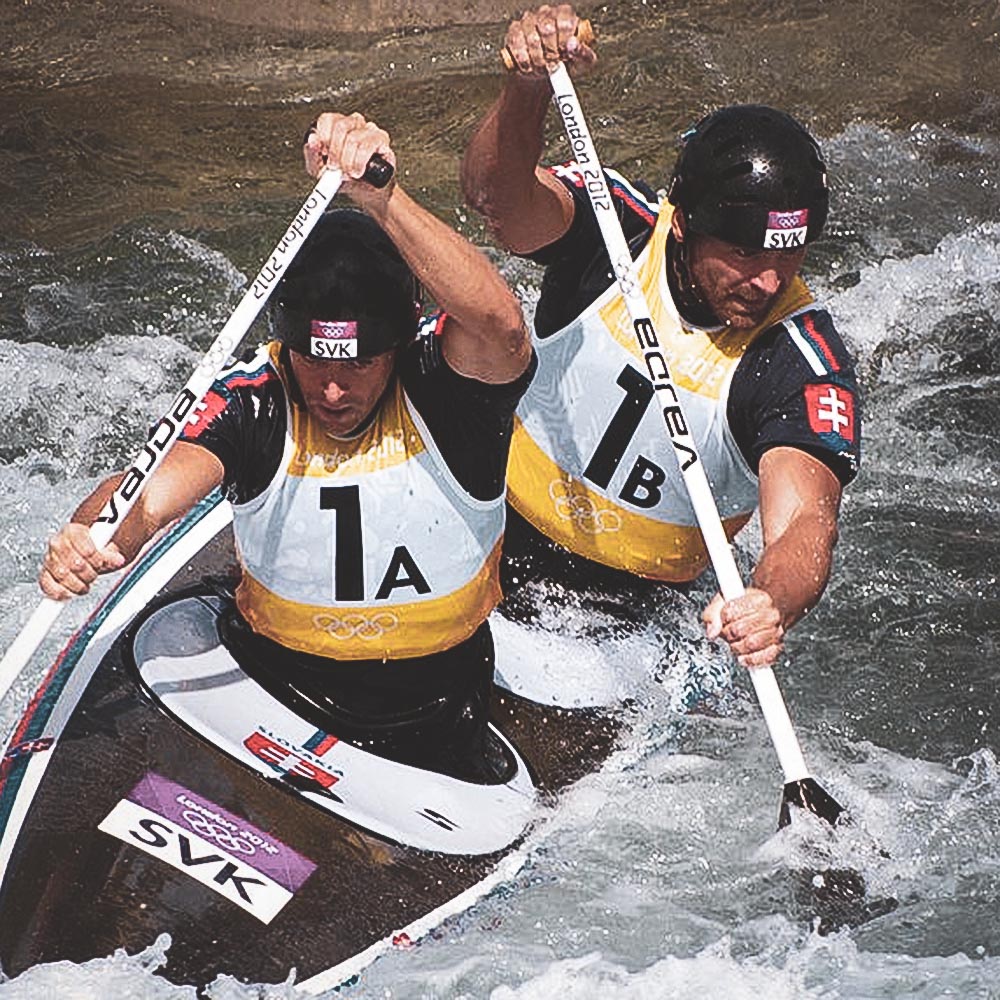 Gemelos Hoschschorner