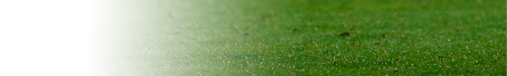 campo fútbol