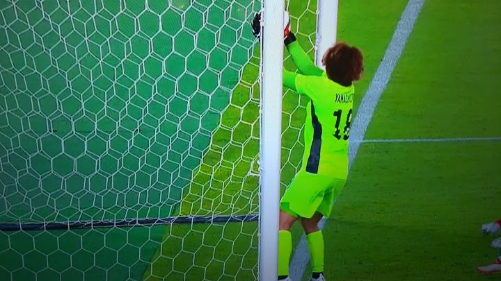 ¿Fue gol? La jugada que pudo cambiar la historia de la Roja