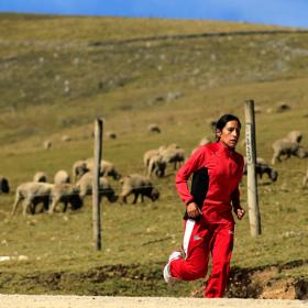 El COP despedirá a un técnico por agredir a una atleta El COP despedirá a un técnico por agredir a una atleta