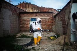 Trabajos de desinsectación para eliminar el mosquito que transmite el virus Zika