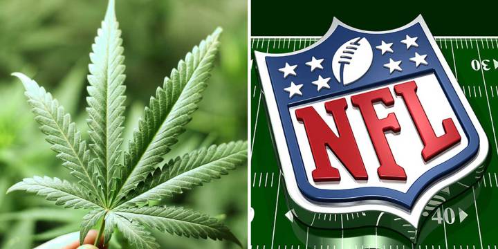 La NFL dispuesta a estudiar el uso de marihuana medicinal