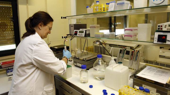 España está sin laboratorio y sin agencia a dos meses de Río