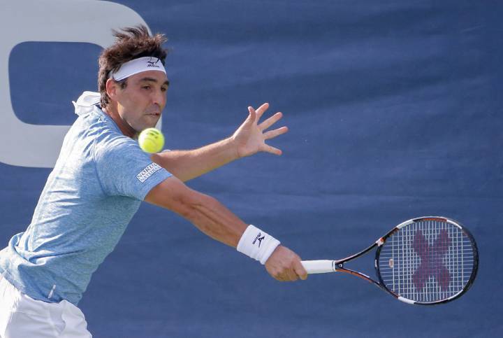 Baghdatis renuncia a los JJOO tras no recuperarse del codo