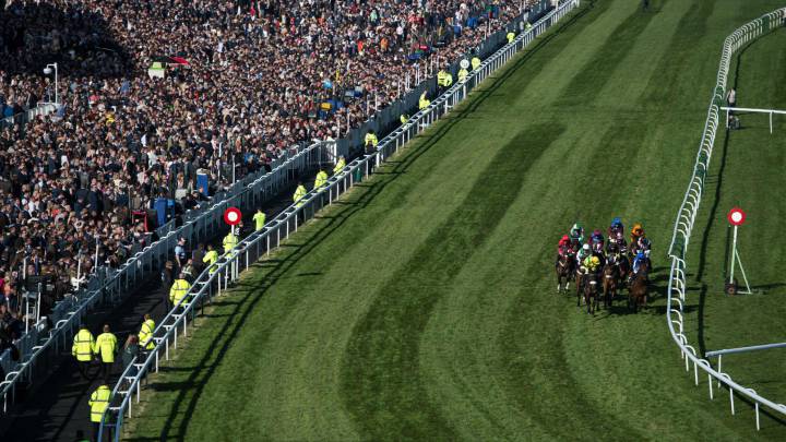 Vieux Lion Rouge y Definitly Red favoritos en el Grand National