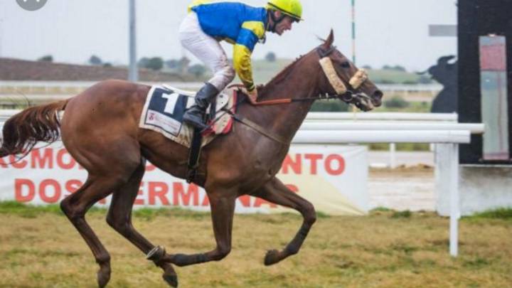 Velayos: Hipodamo de Mileto, el favorito; Montgarri, sorpresa