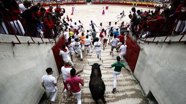 Los toros de la ganadería gaditana de Núñez del Cuvillo entran a la Plaza de Toros de Pamplona en el séptimo encierro de los Sanfermines 2017.