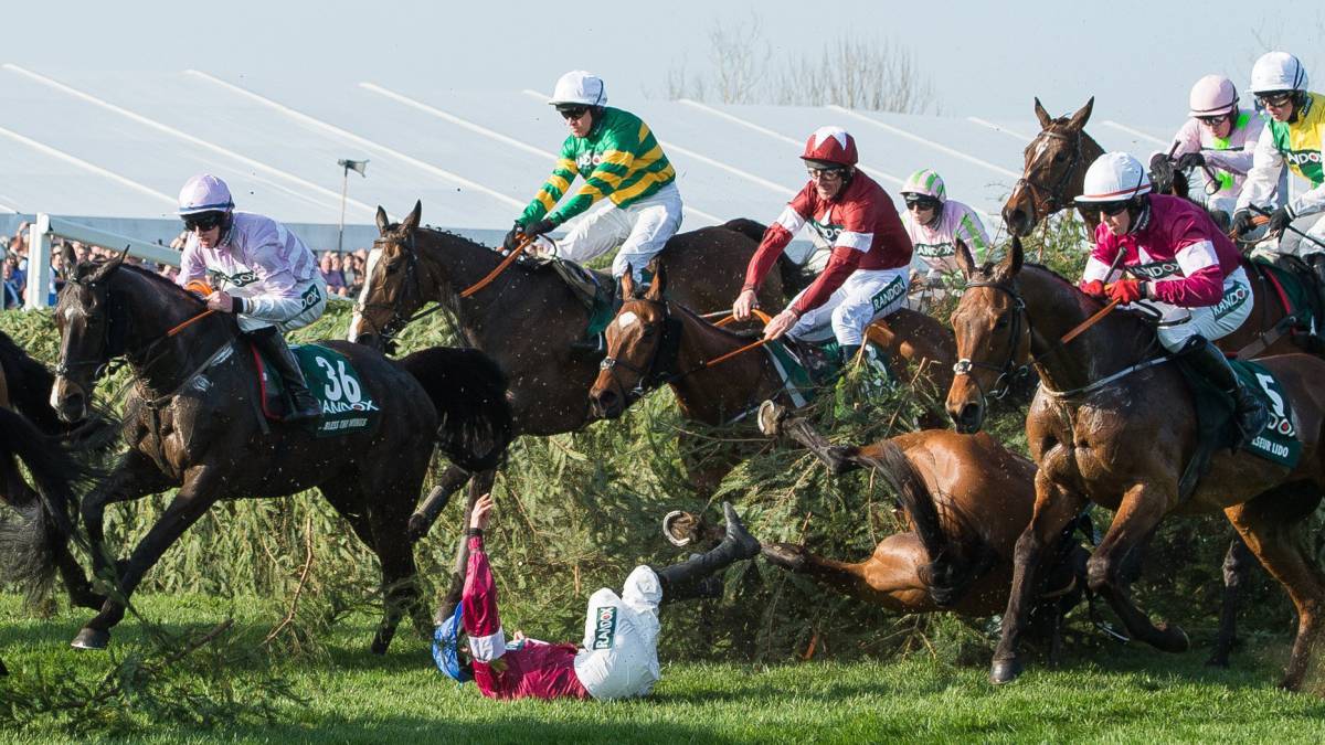 El pequeño 'Tiger Roll' vence el Grand National con foto-finish