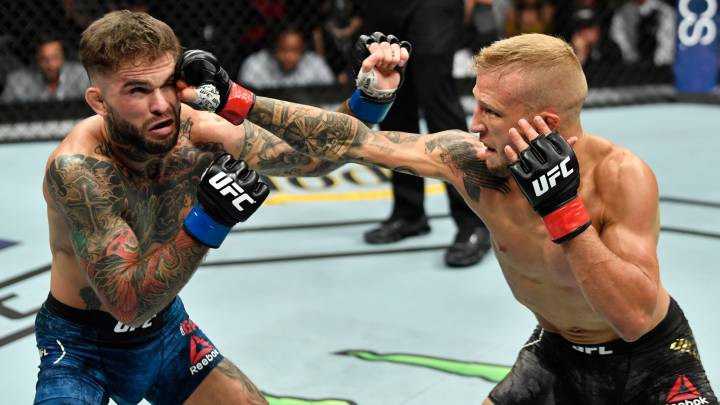Crónica del Dillashaw vs Garbrandt y del Johnson vs Cejudo del UFC 227 que se disputó en el Staples Center de Los Ángeles.