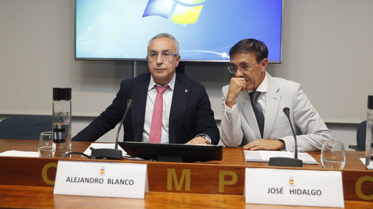 El COE y las federaciones podrán "líneas rojas" a la Ley