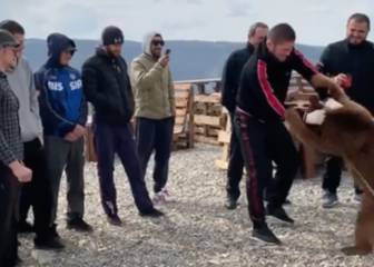 Las asociaciones animalistas trinan: Khabib vuelve a pelear con un osezno encadenado