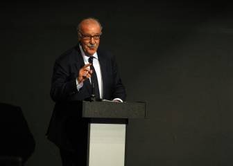 Del Bosque sigue siendo el gran favorito para ser el responsable del deporte