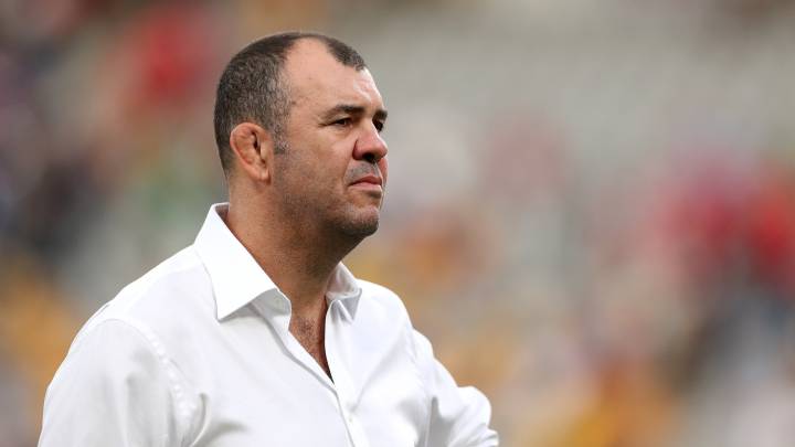Michael Cheika Mundial rugby 2019