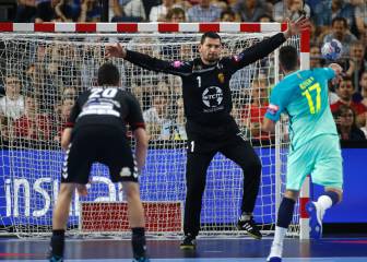 La retirada de Arpad Sterbik