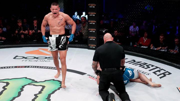 Previa del Bellator 233: Salter vs Van Steenis.