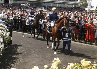 La 159ª edición de la Melbourne Cup detuvo a Australia
