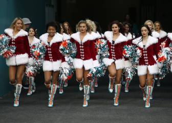 Los Miami Dolphins cayeron pese al apoyo de su gente
