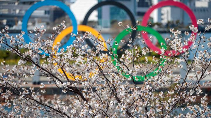 Los aros olímpicos de Tokio 2020 aparecen tras un cerezo en Tokio, la capital de Japón.