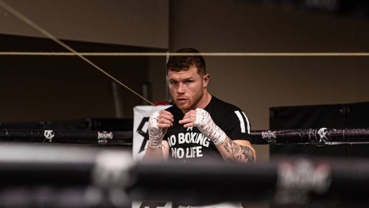 Canelo Álvarez no firmó un contra con Billy Joe Saunders.