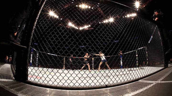 Crónica del UFC 249