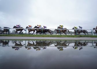 La lluvia deja curiosas imágenes en Lingfield Park