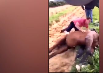 Jinete y su entrenador indignan las redes con este video