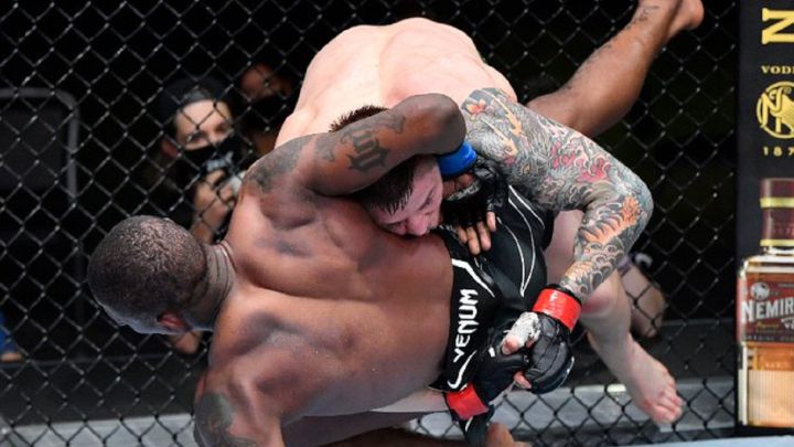 Crónica del UFC Las Vegas 23: Vettori vs Holland.