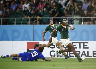Revolución en el rugby: Sudáfrica, cerca de entrar en el Seis Naciones