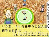 Harvest Moon: Friends of Mineral Town