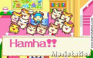 Hamtaro: Rainbow Adventure
