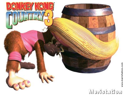 Donkey Kong Country 3