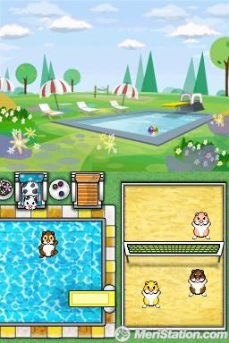 Zhuzhu Pets: Los Amigos del Bosque
