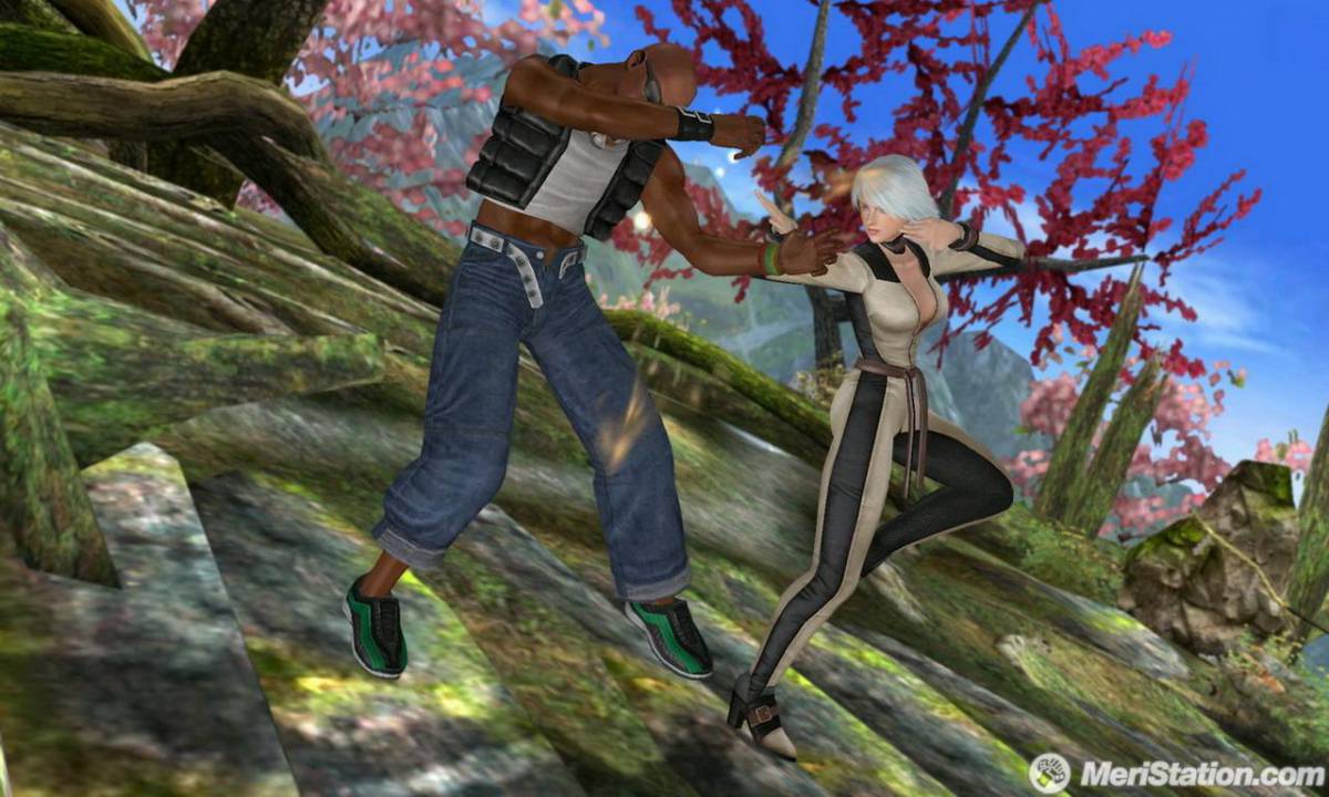 Dead or Alive Dimensions