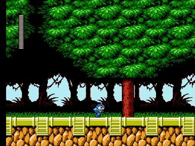Mega Man 6