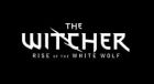 Carátula de The Witcher: Rise of the White Wolf