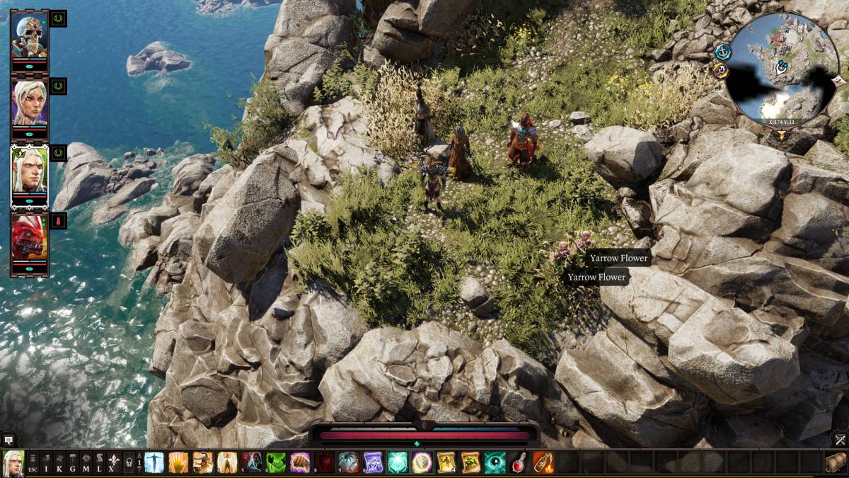 Divinity: Original Sin II
